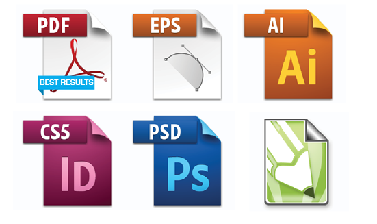 file and print acces qualys